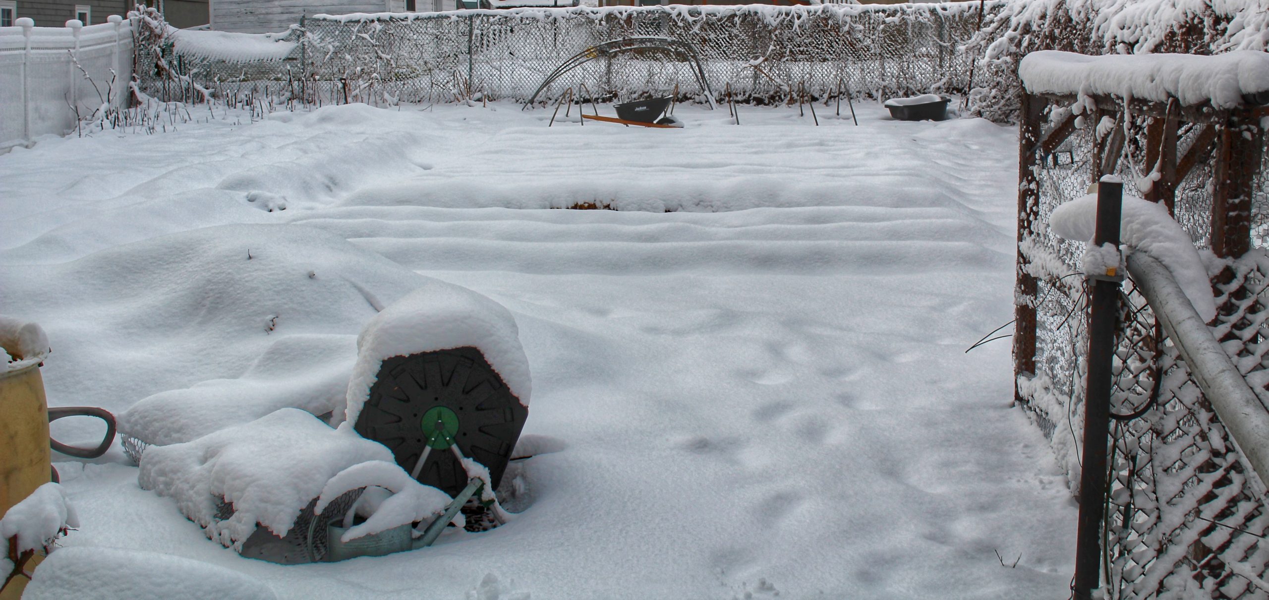 The field covered in snow, with the raised rows still visible